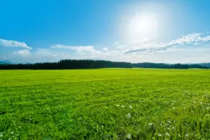 meteo modena