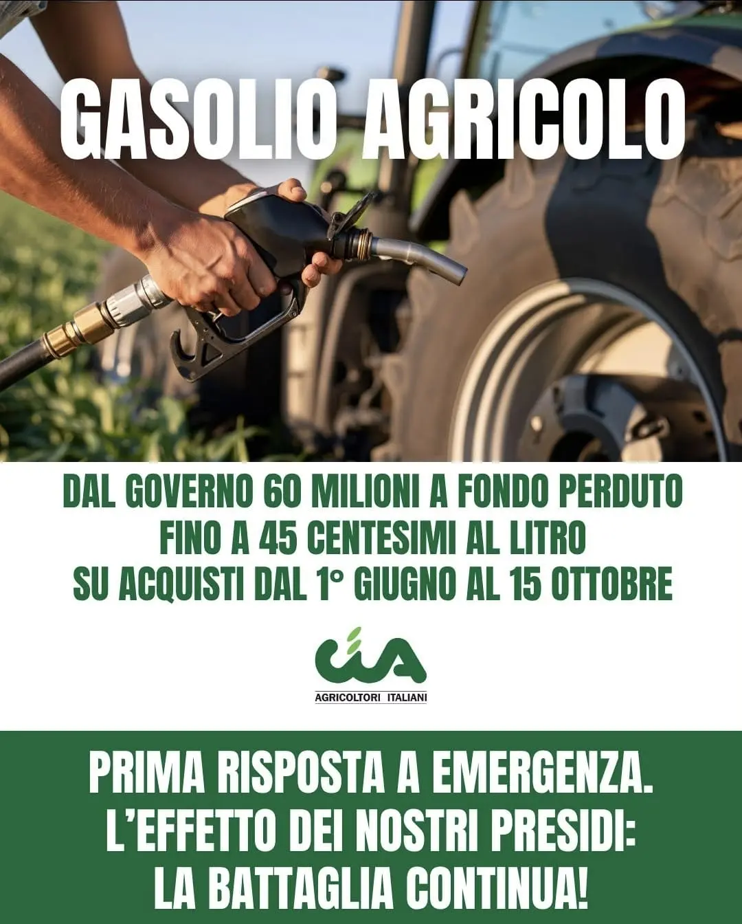 Cia Lazio